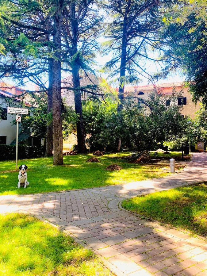 Istria - 3 Minutes From The Apartamento *
